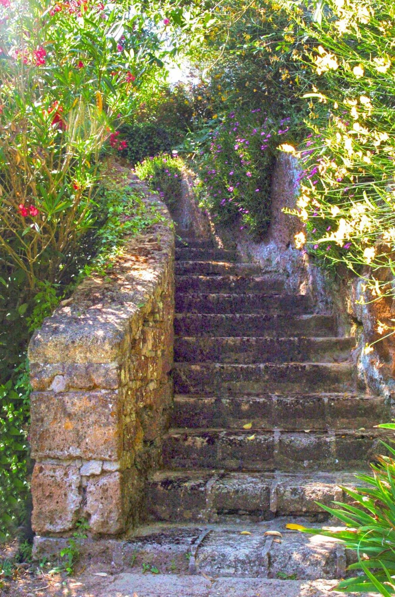 Villa Montecasciano Primula Capranica Exterior foto